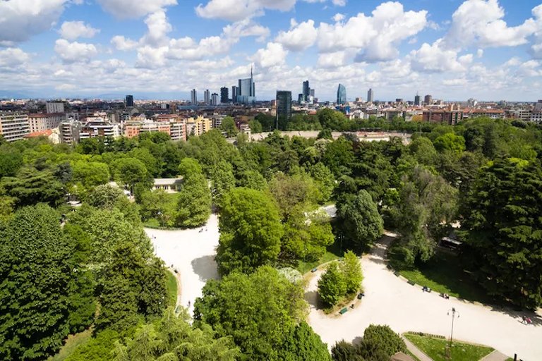 Piantati 5.000 nuovi alberi nei quartieri periferici